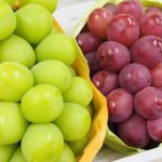 Grape3
