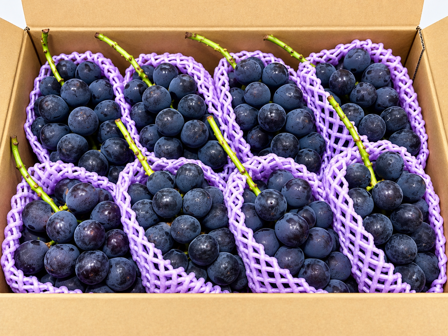 Takami Grape8